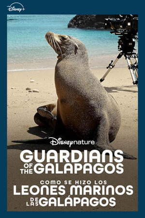 Cómo se hizo Los leones marinos de las Galápagos (2025) Subtítulos ES